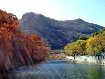 管家婆黑白马报图库，寰亚老板林建岳